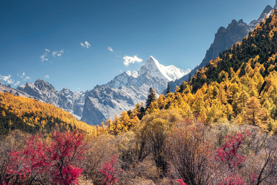 Montañas de china con arboles de otoño